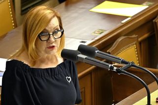Schillerová bude chtít přesvědčit prezidenta k podpisu rozpočtu